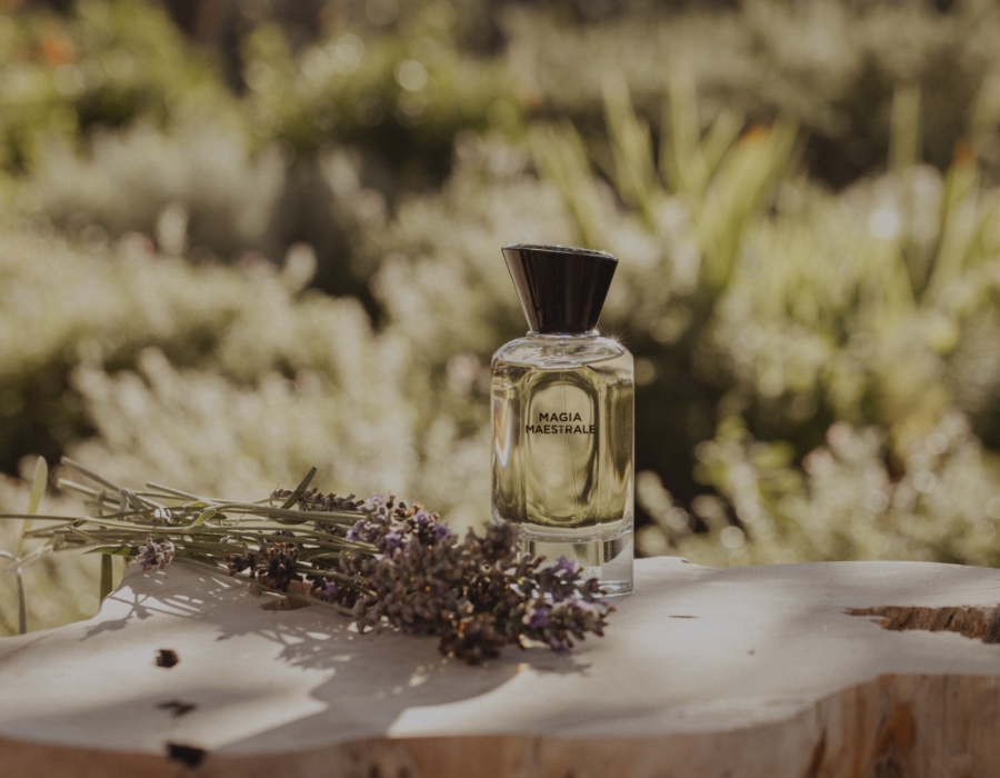 Designer vs. Niche Fragrances: The Art of Scent Selection